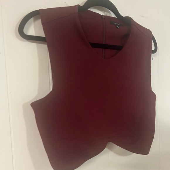 Talula by Aritzia size L, Manzanita Bordeaux wine colored cropped sleeeless tank - Picture 4 of 5